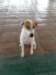 sam_0125_small.jpg