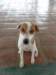 sam_0126_small.jpg