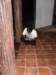 sam_0863_small.jpg